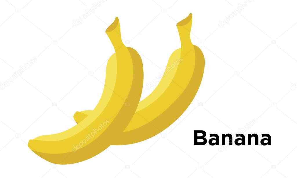 Yellow banana fruit on white background. Fresh & ripe tropical banana for cartoon, cutting and pasting. Vector Illustration.