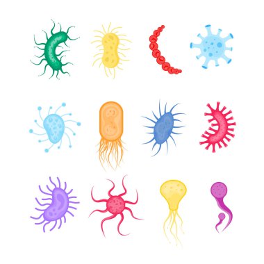 Bakteri, bakteri, mikrop.