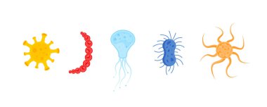 Bakteri, bakteri, mikrop.