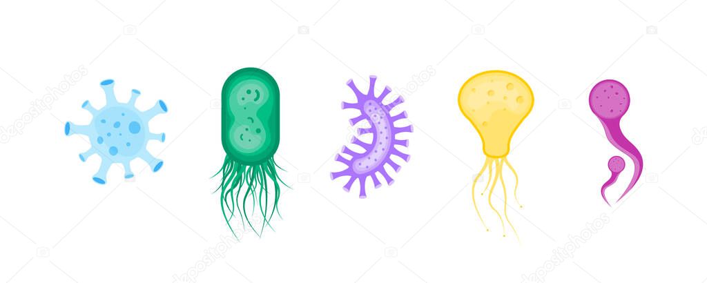 Bacterium, bacteria, microbes