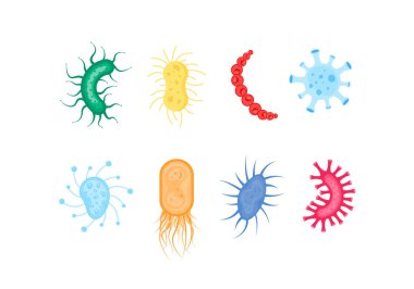 Bakteri, bakteri, mikrop.