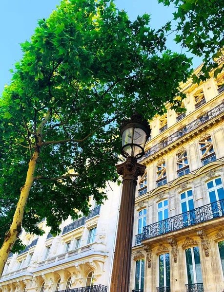 Facade of typical Parisian building with green trees and vintage street lantern. Bottom view. Summer time, sunny day. European architecture. Building exterior. Paris, France
