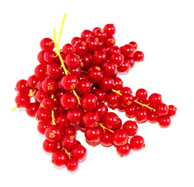 Taze organik olgun kırmızı frenk üzümü çilek beyaz arka plan izole. Peduncles üzerinde kırmızı frenk üzümü çilek.