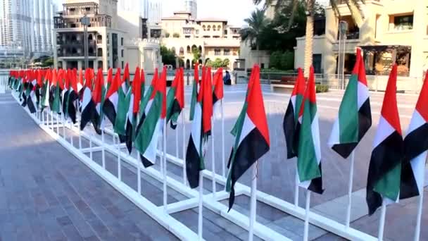 Dubai Emirados Árabes Unidos Dezembro 2019 Muitas Bandeiras Nacionais Dos — Vídeo de Stock