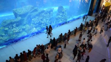 Dubai / BAE - 19 Ekim 2019: Dubai AVM 'de turist kalabalığıyla dolu büyük bir akvaryum. Dünyanın en büyük alışveriş merkezi. Akvaryum. Dubai Vizörlü AVM.