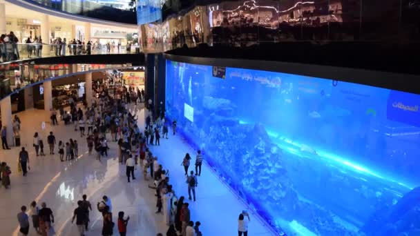 Dubai Emirados Árabes Unidos Outubro 2019 Enorme Aquário Shopping Dubai — Vídeo de Stock