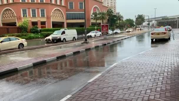 Dubai Oae Листопада 2019 Автомобілі Їдуть Через Затоплені Вулиці Дубаї — стокове відео