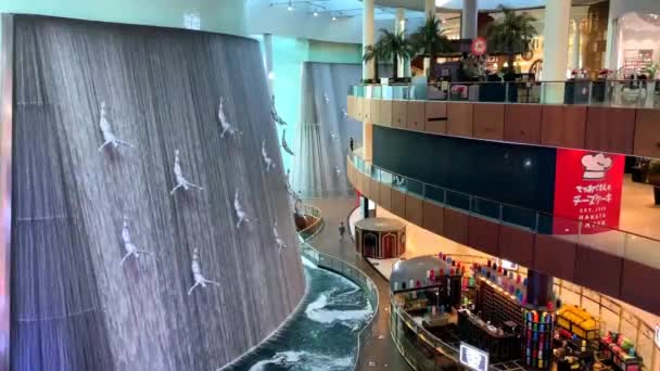 Dubai Verenigde Arabische Emiraten Mei 2020 Menselijke Waterval Duikers Waterval — Stockvideo