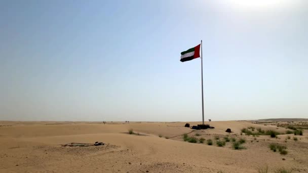 United Arab Emirates Flag Waving Arabian Desert Blue Sky Background — Stock Video