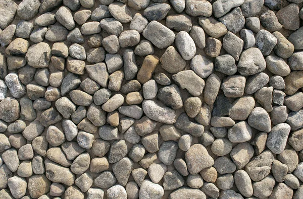Gri renkli çakıl taşları. Üst Manzara. Pek çok küçük yuvarlak deniz taşından yapılmış arka plan. — Stok fotoğraf