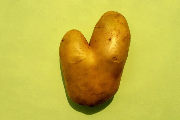 Wundersame Lustige Hässliche Gemüse Oder Lebensmittelverschwendung Hässliche Kartoffel Herzform Auf — Stockfoto