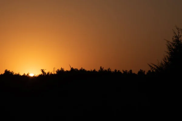 Silhouette Tree Sunset — Stock Photo, Image