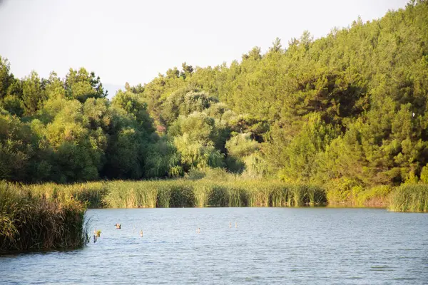İzmir'den Sarnıç Göleti Manzarası