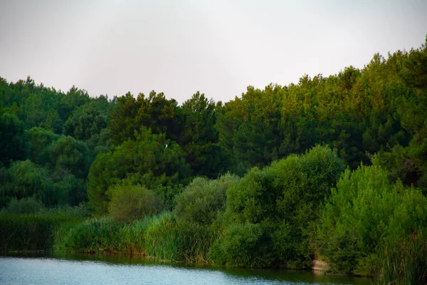 İzmir'den Sarnıç Göleti Manzarası