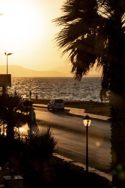 Palmiye ağacının silueti. Günbatımı. Denizin mavisi. Mavi hava, arabalar ve yol. Billboard wiew