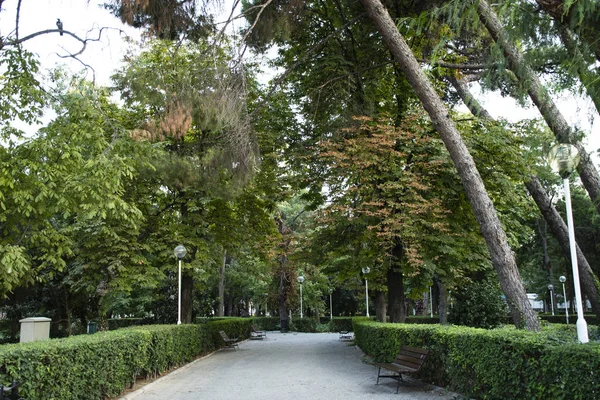 Estrada Entre Árvores Árvore Curva Pausa Para Jardim — Fotografia de Stock