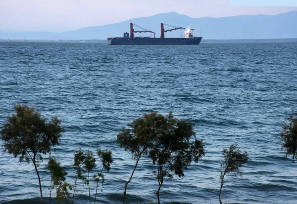 cargo ship in the middle of the sea, tree view sea