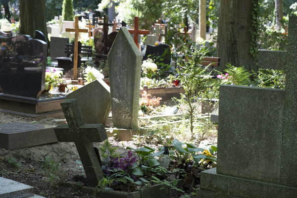 grave in morning light