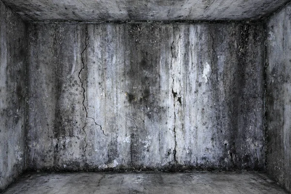 Chambre Vide Avec Mur Béton Grunge Sol Ciment — Photo