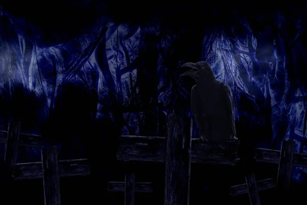 可怕的森林树在雾黑暗和光线与黑乌鸦坐在 — 图库照片