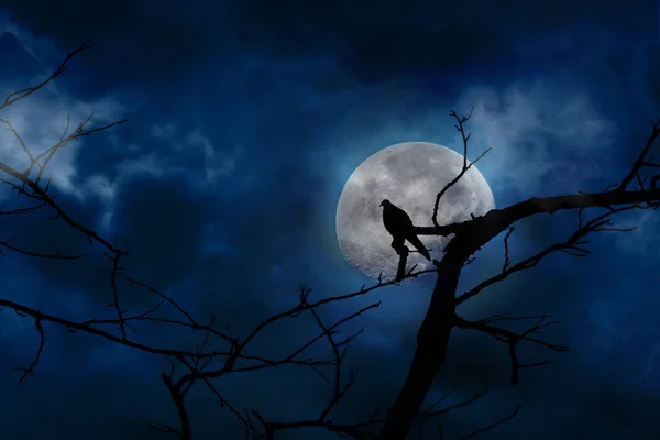 Scary blue background in silhouette of bird perched on tree bran