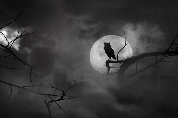 Силуэт совы сидел на ветвях деревьев в городе, покинув — стоковое фото
