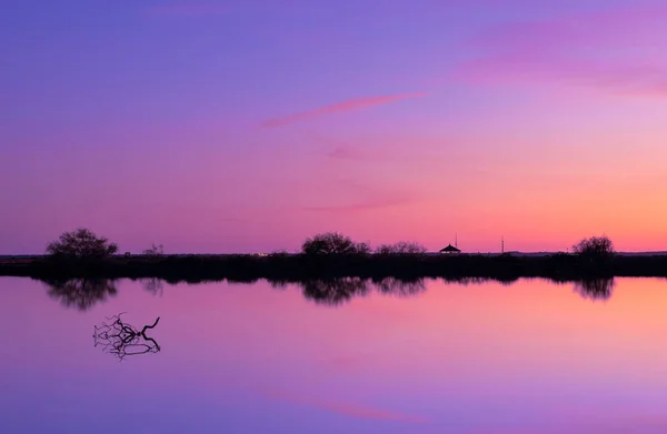 Hermoso Atardecer Con Colores Pastel Reflejos Plantas Pantanos — Foto de Stock