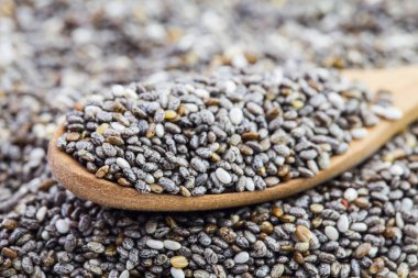 tahta kaşıkchia tohumu , Beyaz arka plan üzerinde izole