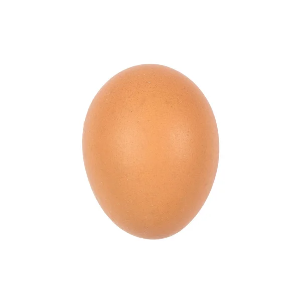 Beyaz Arka Planda Izole Edilmiş Yumurtayı Kapat — Stok fotoğraf