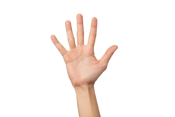 クリッピングパスを持つ白い背景に隔離された女性の手のクローズアップ — ストック写真