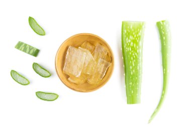 Beyaz arkaplanda Aloe
