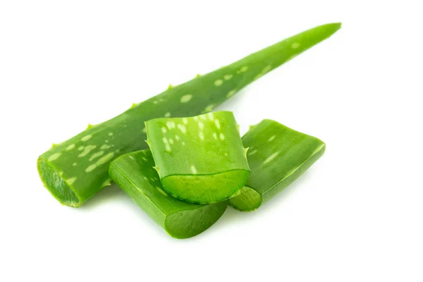 Aloe Vera White Background — Stock Photo, Image