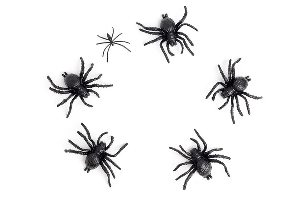 Schwarze Spinne Isoliert Auf Weißem Hintergrund — Stockfoto