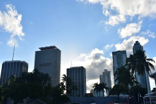 Utsikt Över Staden Miami Höga Byggnader — Stockfoto