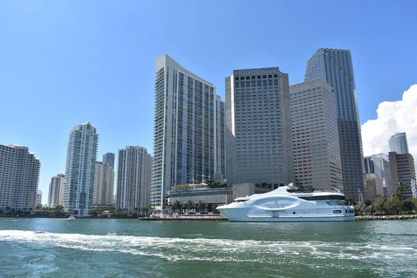 Utsikt Över Staden Miami Höga Byggnader — Stockfoto