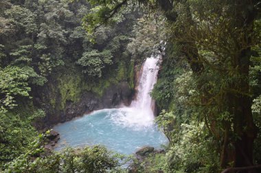 Yeşil tropikal bitki örtüsü ile çevrili turkuaz mavisu güzel şelale.