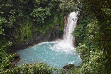 Yeşil tropikal bitki örtüsü ile çevrili turkuaz mavisu güzel şelale.