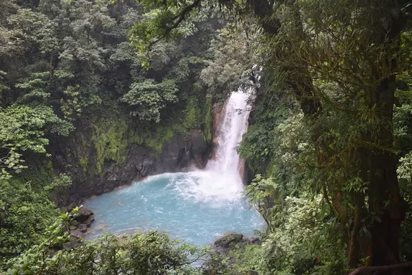 Yeşil tropikal bitki örtüsü ile çevrili turkuaz mavisu güzel şelale.