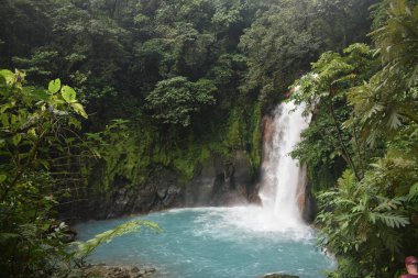 Yeşil tropikal bitki örtüsü ile çevrili turkuaz mavisu güzel şelale.