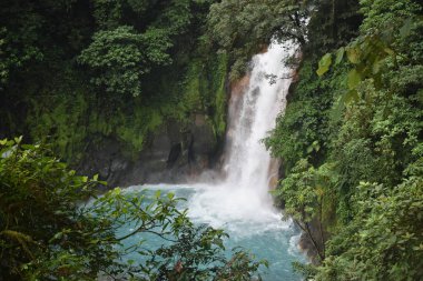 Yeşil tropikal bitki örtüsü ile çevrili turkuaz mavisu güzel şelale.