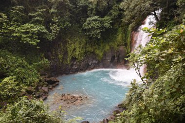Yeşil tropikal bitki örtüsü ile çevrili turkuaz mavisu güzel şelale.