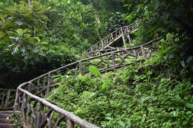 Yeşil tropikal bitki örtüsü ile çevrili turkuaz mavisu güzel şelale.