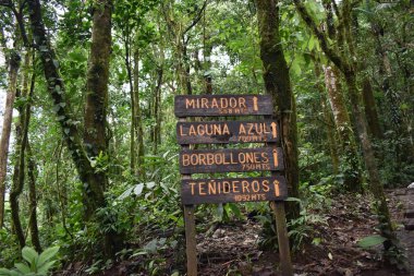 Kosta Rika yağmur ormanları ile bir rota üzerinde yön işaretleri.