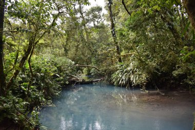 Tropikal yeşil bitki örtüsü ile çevrili gökyüzü mavi nehir.