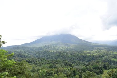 Büyük Arenal Volkan, çiçekler ve vegeration ile çevrili.
