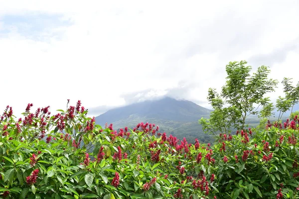 Gran Volcán Arenal Rodeado Flores Vegetación — Foto de Stock