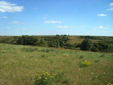 Slobozhanshchina Ukrayna orman-step manzara