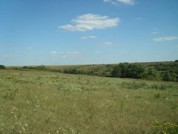 Landschaft Der Ukrainischen Waldsteppe Slobozhanshchina — Stockfoto