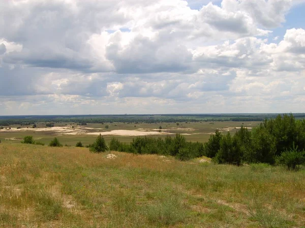 Paesaggio Della Foresta Steppa Ucraina Slobozhanshchina — Foto Stock