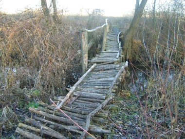 Derenin üzerindeki tahta köprü.